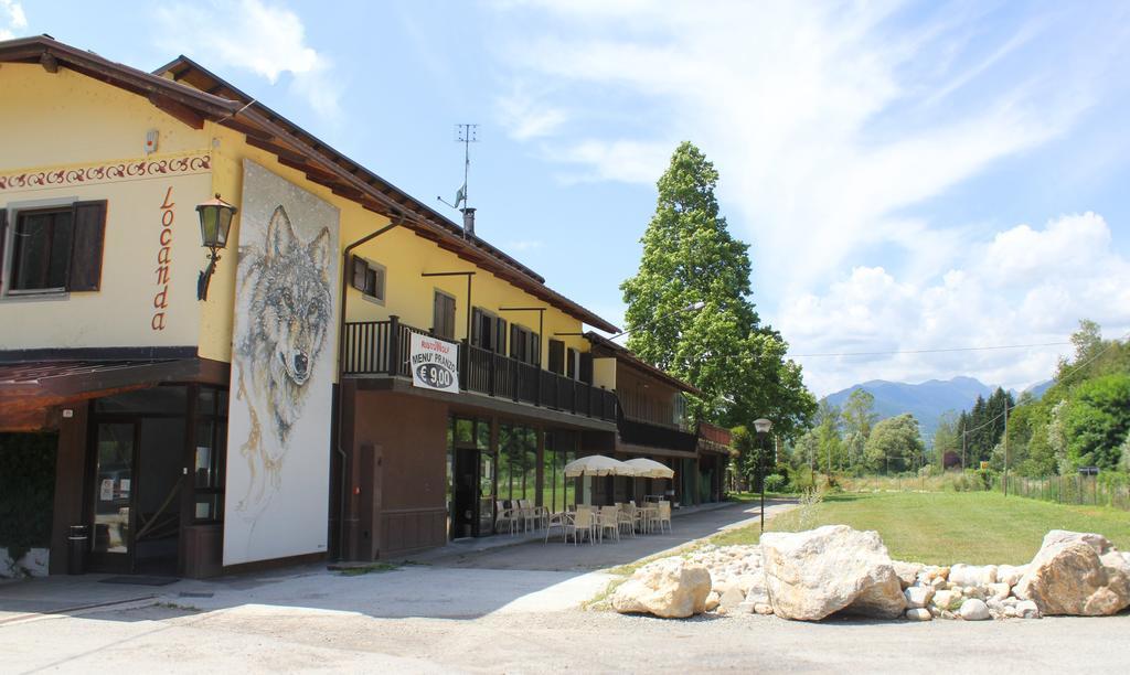 Wolf Village Демонте Стая снимка